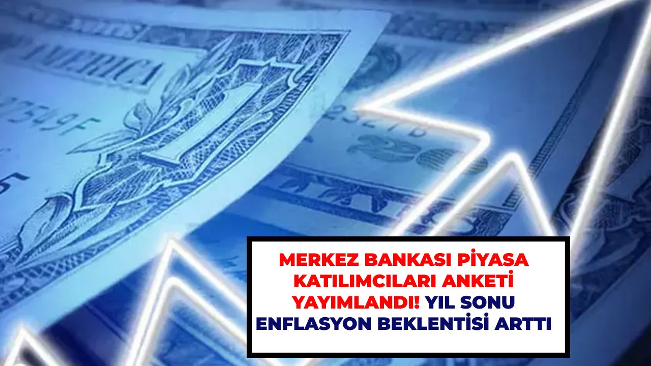 Merkez Bankas Piyasa Kat L Mc Lar Anketi Yay Mland Y L Sonu