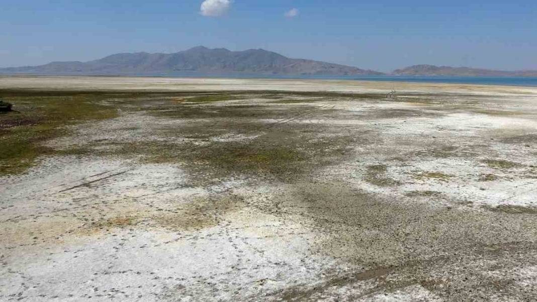 Erçek Gölü kuruyor! Kuş cennetinde kuraklık! 3