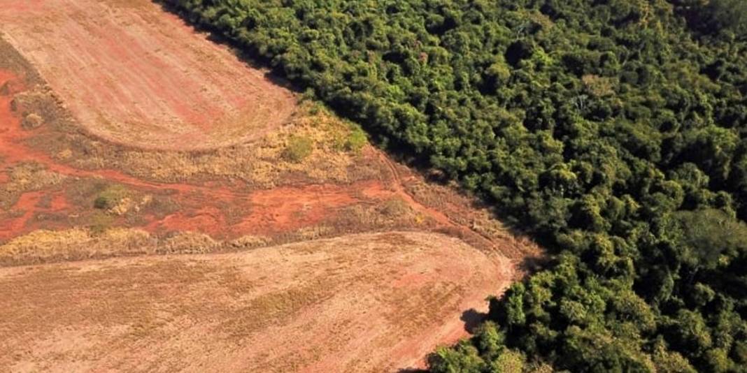 El Nino, Amazon'larda da felaket yarattı! 1