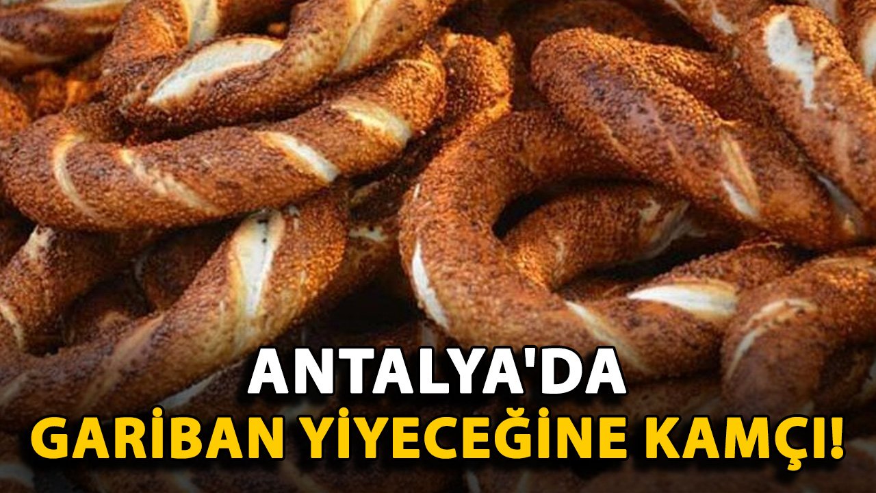 Antalya'da gariban yiyeceğine kamçı!