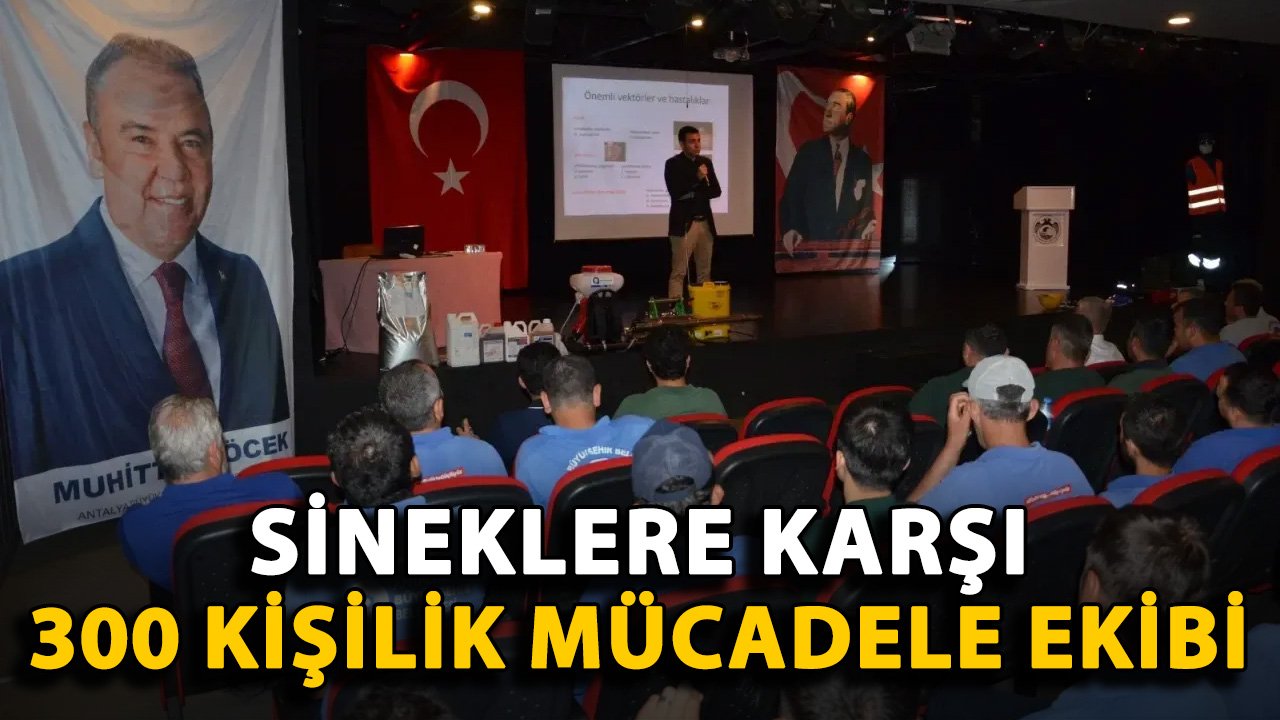 Alanya ve Gazipaşa'da sineklere karşı 300 kişilik mücadele ekibi
