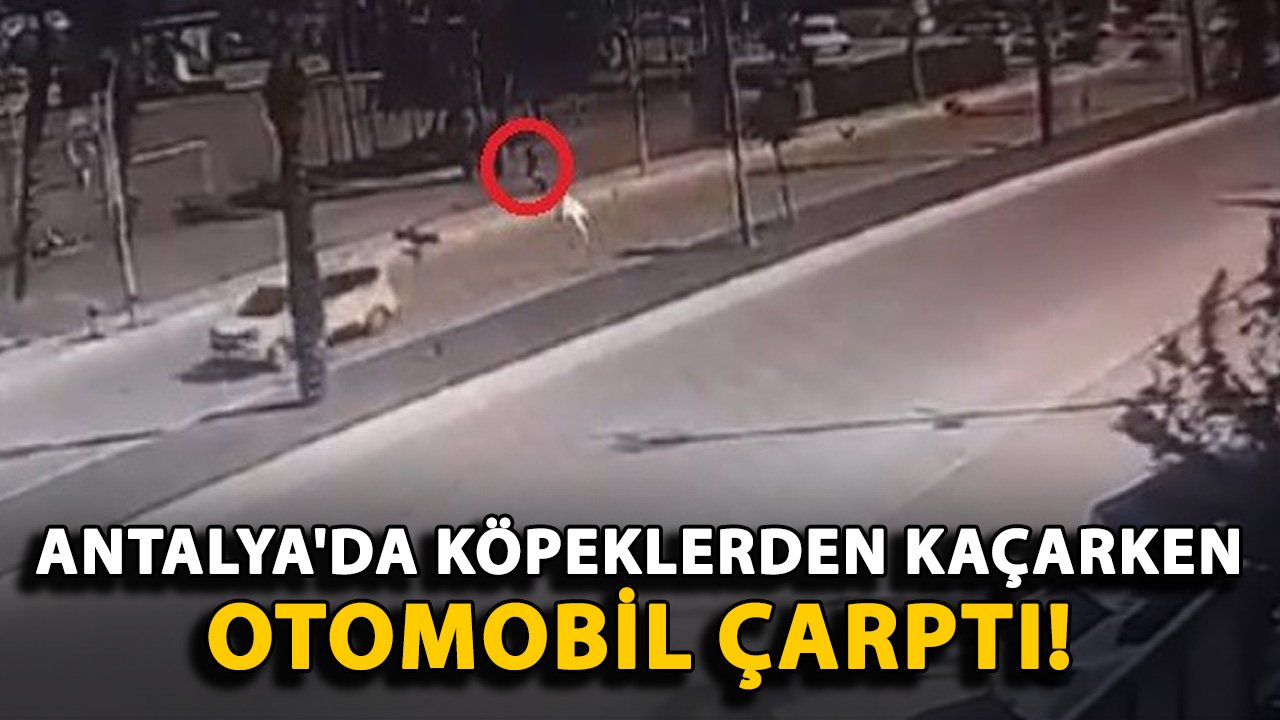 Antalya'da köpeklerden kaçarken otomobil çarptı!