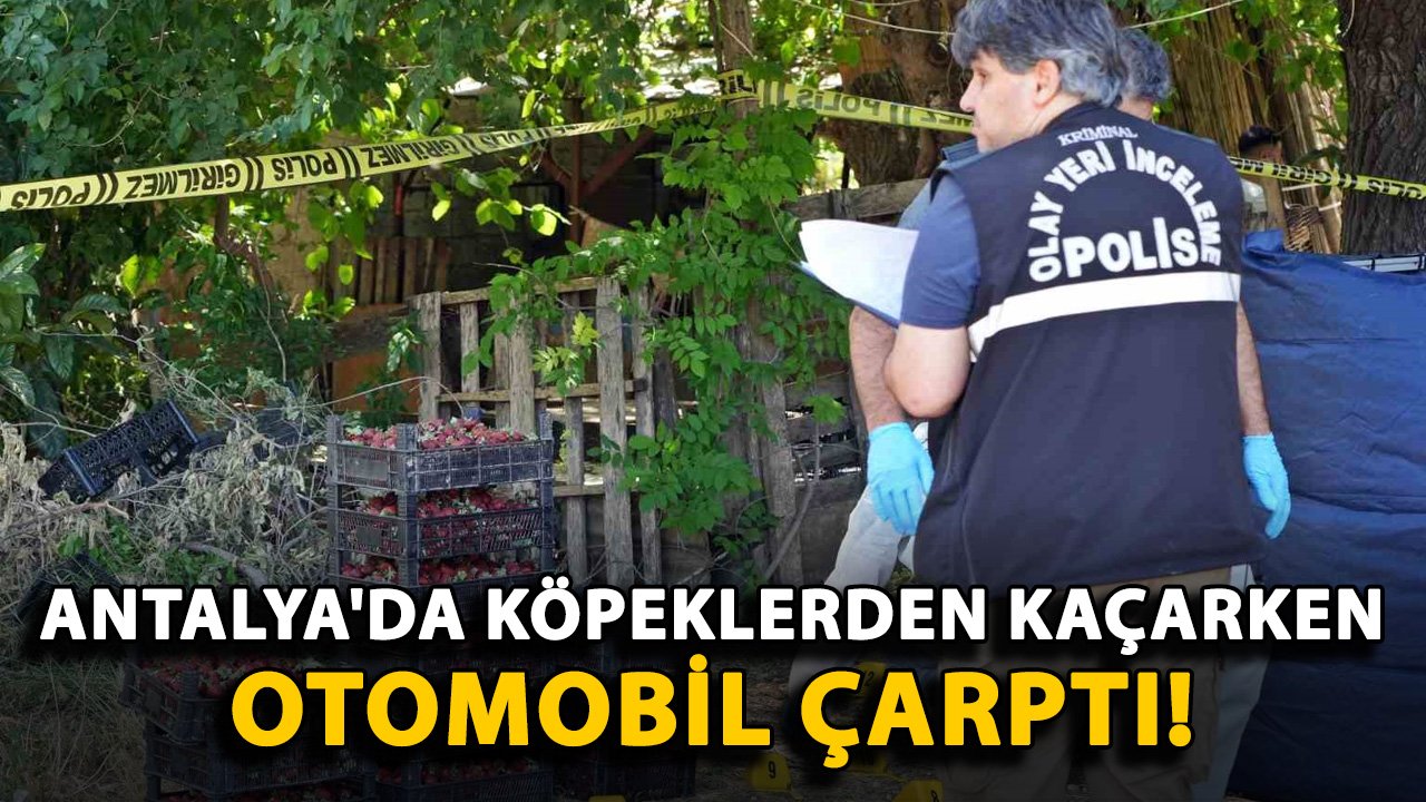 Antalya'da korkunç olay! Husumetli müşteri cinayet işledi