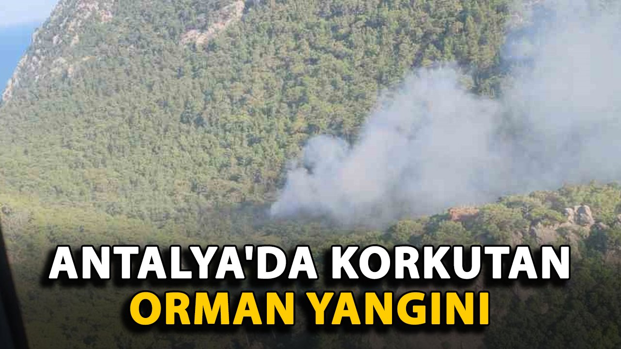 Antalya'da korkutan orman yangını