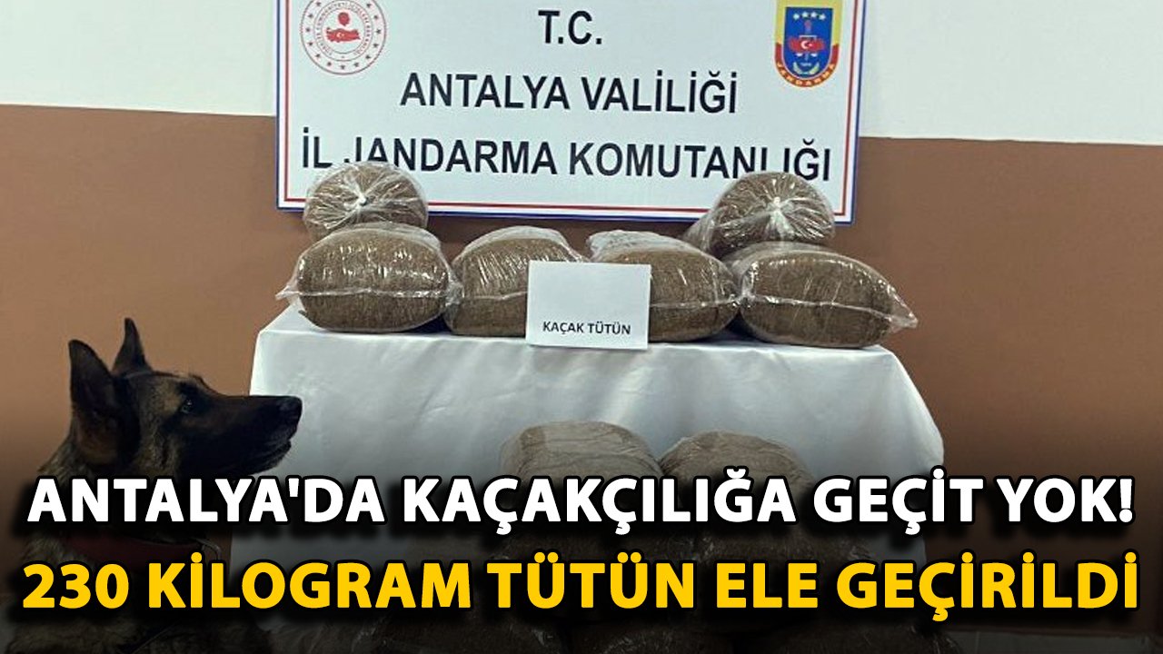 Antalya'da kaçakçılığa geçit yok! 230 kilogram tütün ele geçirildi