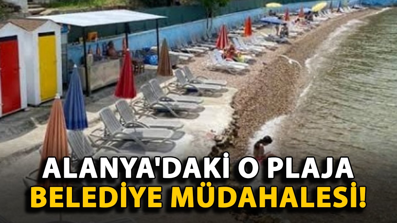 Alanya'daki o plaja belediye müdahalesi! Talip çıkmazsa kendi işletecek