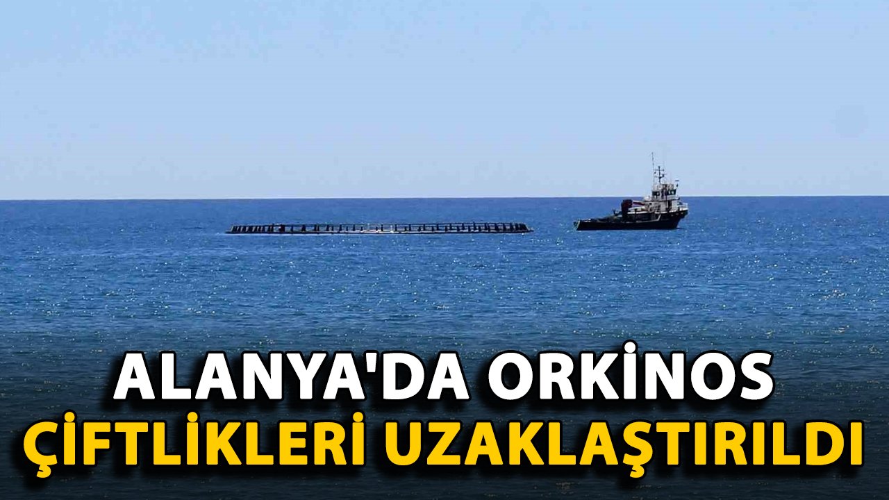 Alanya'da orkinos çiftlikleri uzaklaştırıldı