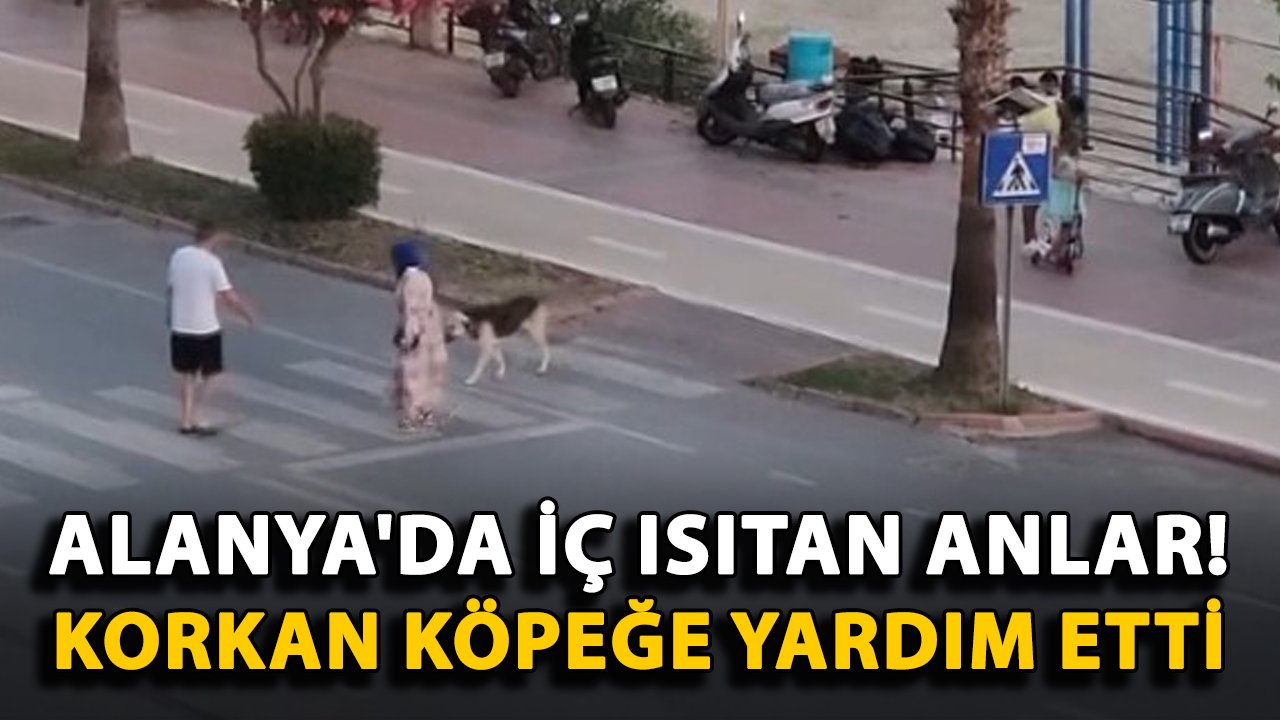 Alanya'da iç ısıtan anlar! Korkan köpeğe yardım etti