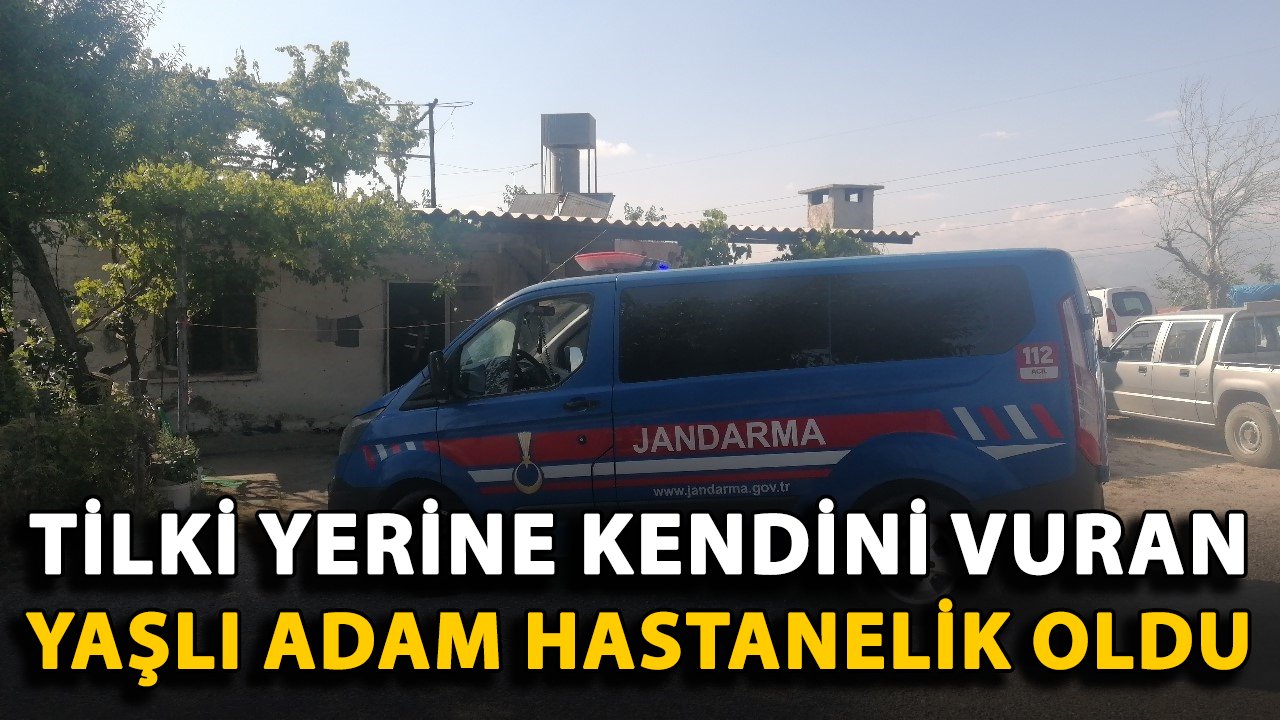 Tilki yerine kendini vuran yaşlı adam hastanelik oldu