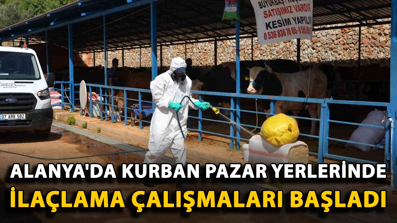 Alanya'da kurban pazar yerlerinde ilaçlama çalışmaları başladı