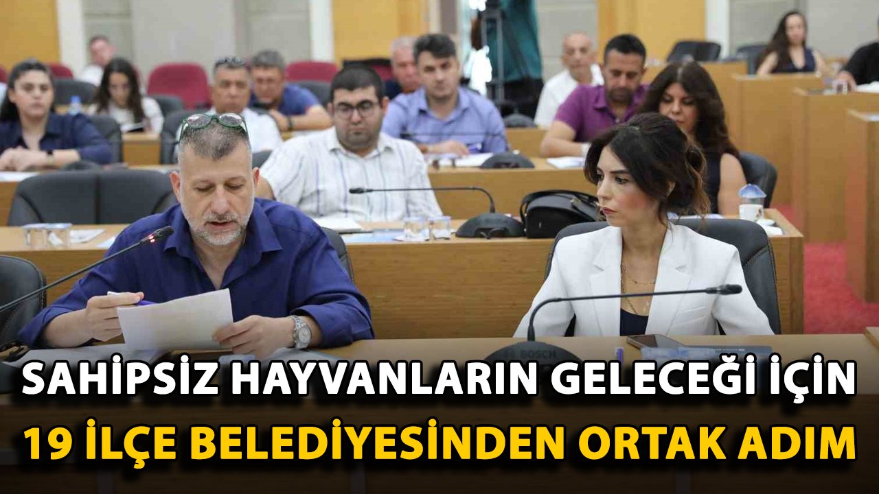 Antalya'da sahipsiz hayvanların geleceği için 19 ilçe belediyesinden ortak adım