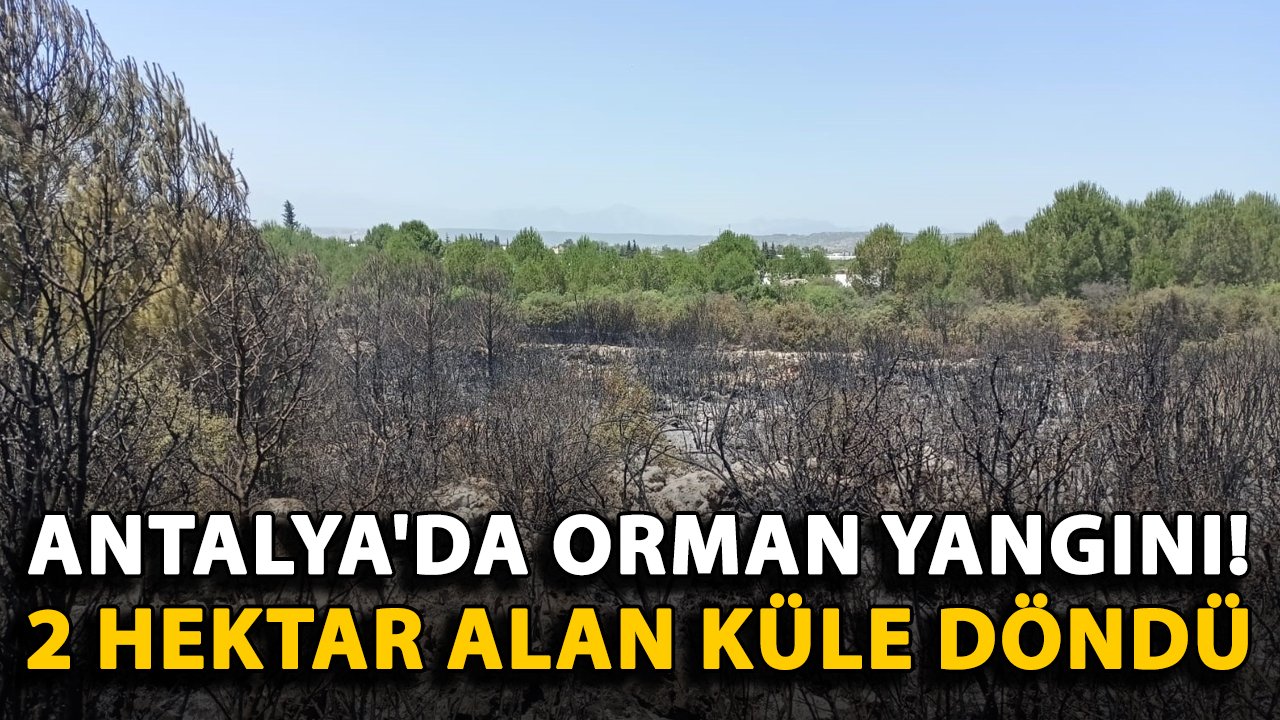 Antalya'da orman yangını! 2 hektar alan küle döndü