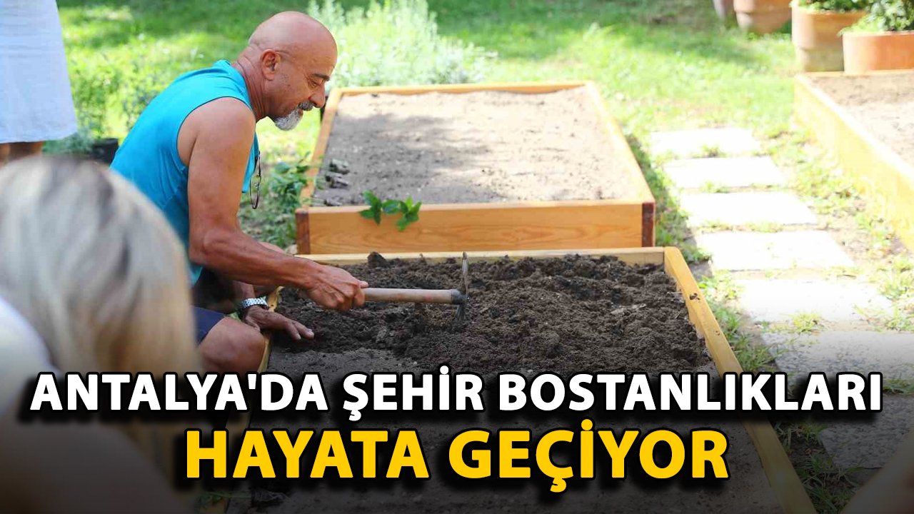 Antalya'da şehir bostanlıkları hayata geçiyor