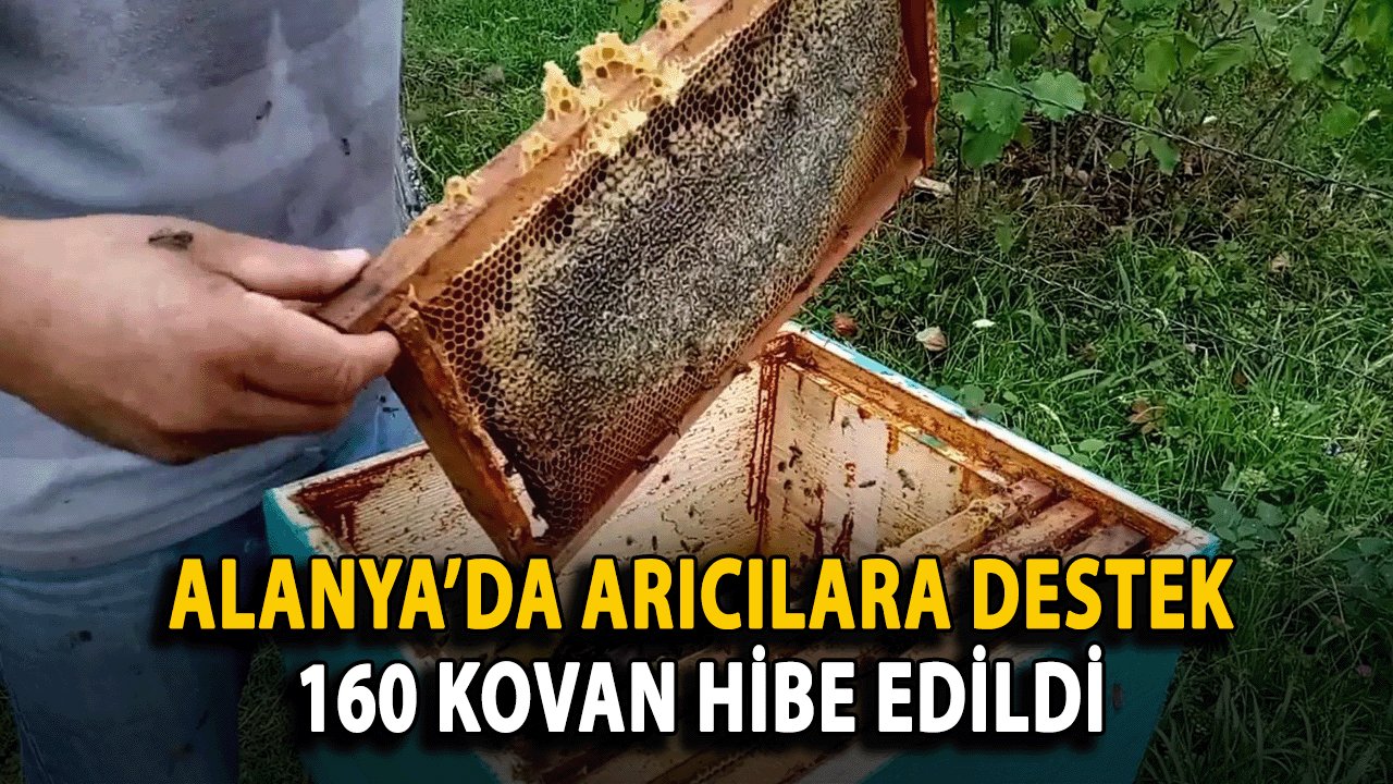 Alanya’da Arıcılara Destek: 160 Kovan Hibe Edildi