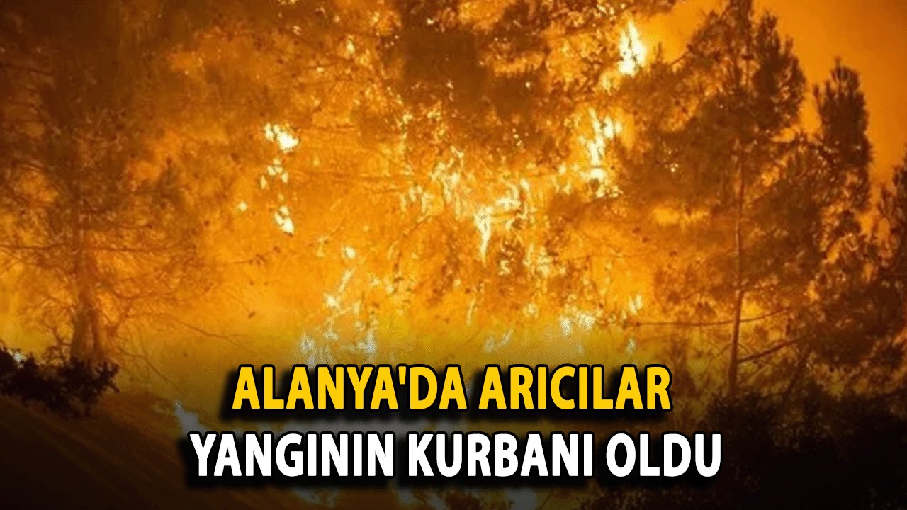 Alanya'da Arıcılar Yangının Kurbanı Oldu