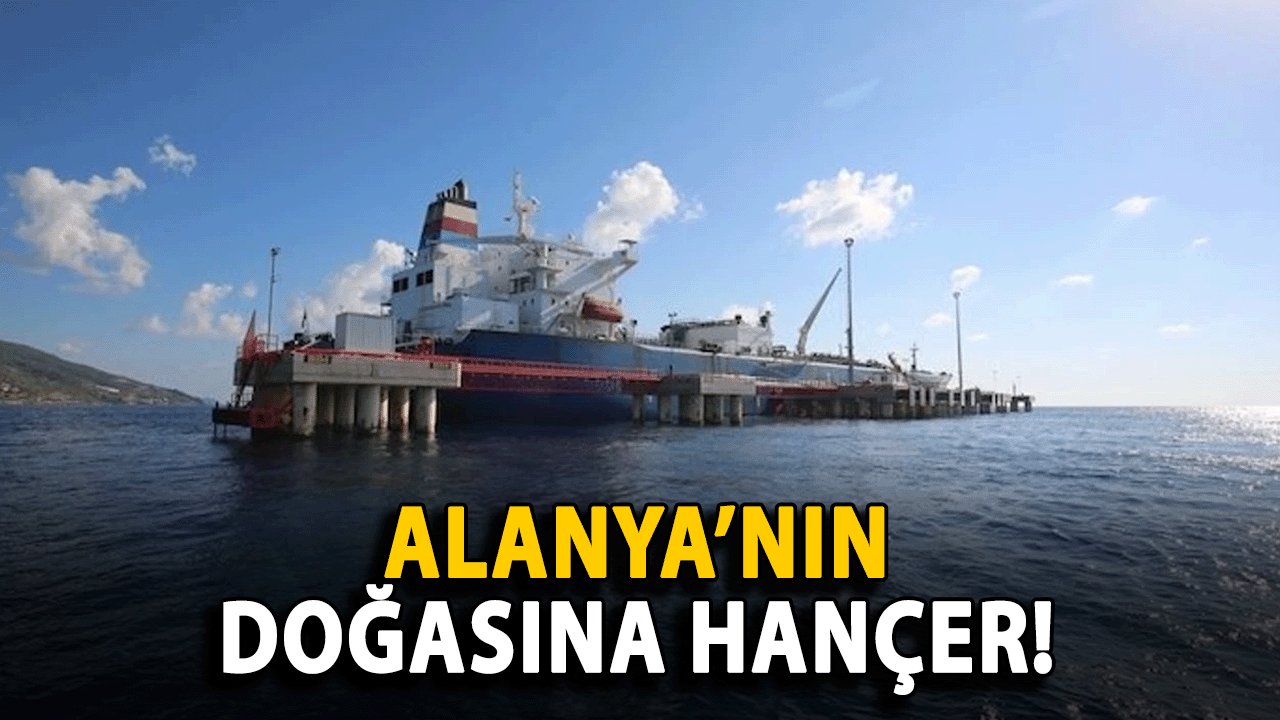 Alanya’nın Doğasına Hançer! CHP’li Arı Kapasite Artışı Projesine Karşı Çıktı