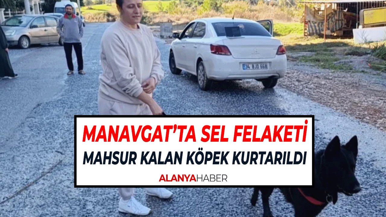 Manavgat’ta Sel Felaketi: Mahsur Kalan Köpek Kurtarıldı