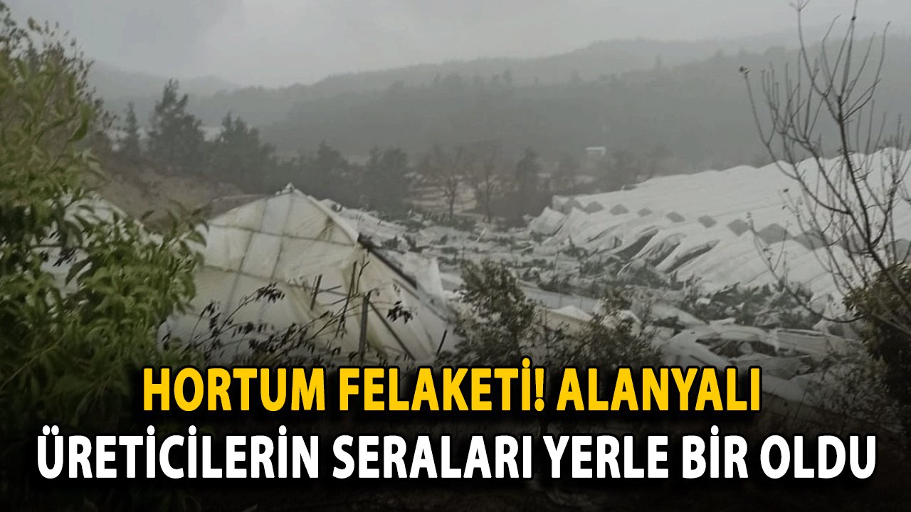 Hortum Felaketi! Alanyalı Üreticilerin Seraları Yerle Bir Oldu