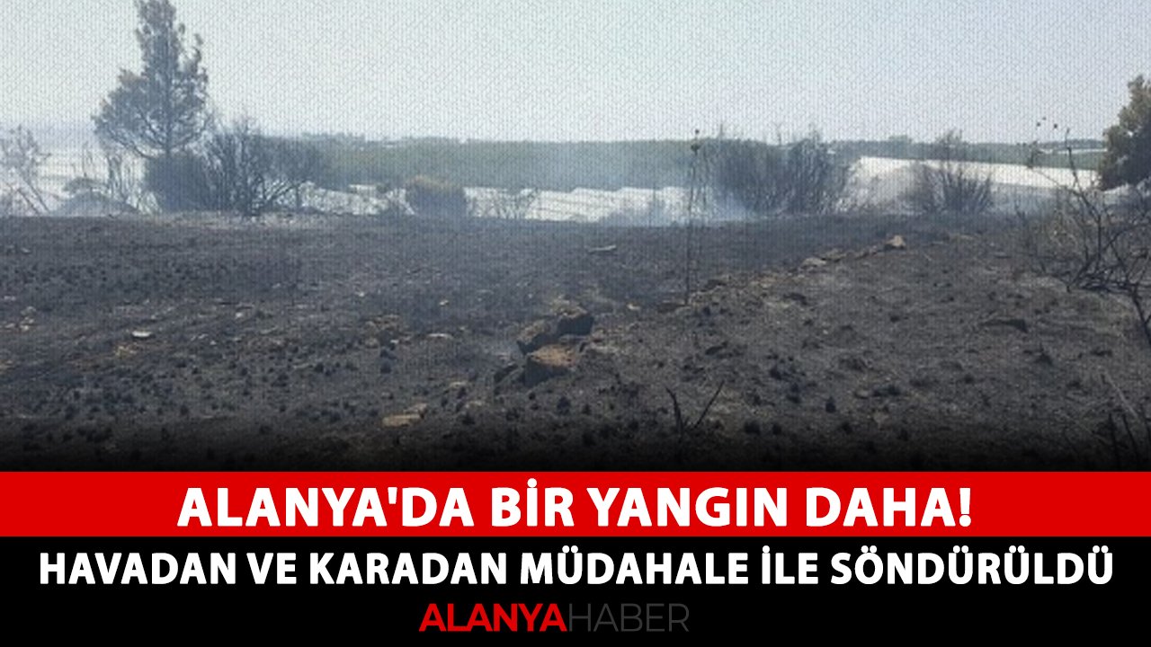 Alanya'da bir yangın daha! Havadan ve karadan müdahale ile söndürüldü