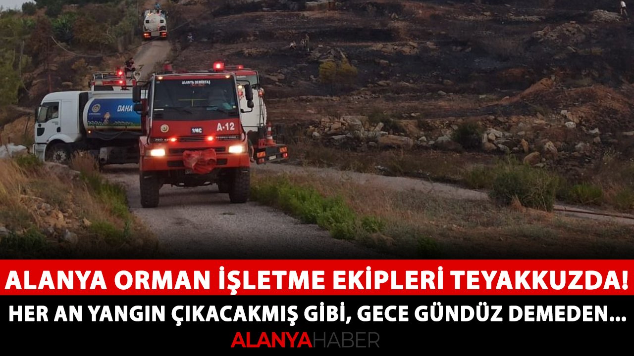 Alanya Orman İşletme ekipleri teyakkuzda! Her an yangın çıkacakmış gibi, gece gündüz demeden...