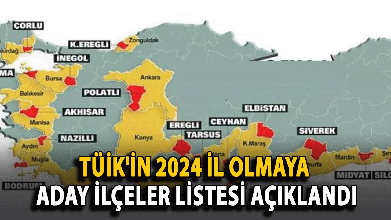 TÜİK'in 2024 İl Olmaya Aday İlçeler Listesi Açıklandı