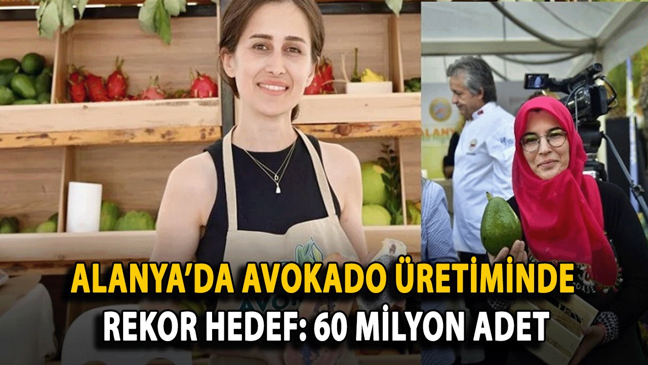 Alanya’da Avokado Üretiminde Rekor Hedef: 60 Milyon Adet