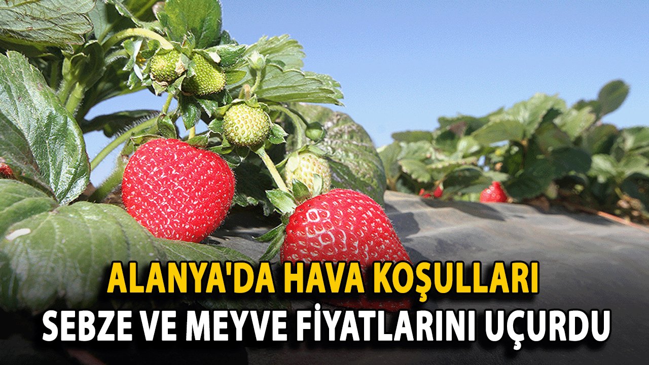 Alanya'da Hava Koşulları Sebze ve Meyve Fiyatlarını Uçurdu