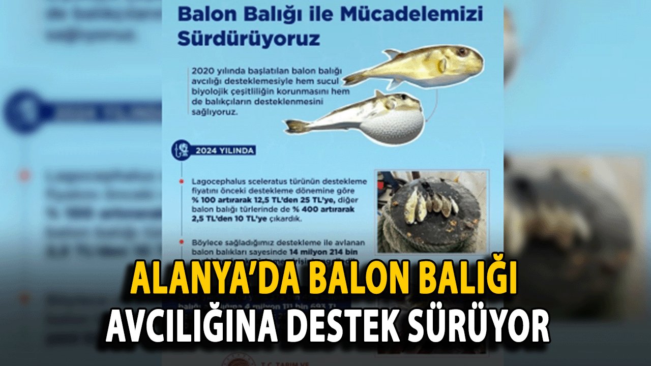 Alanya’da Balon Balığı Avcılığına Destek Sürüyor