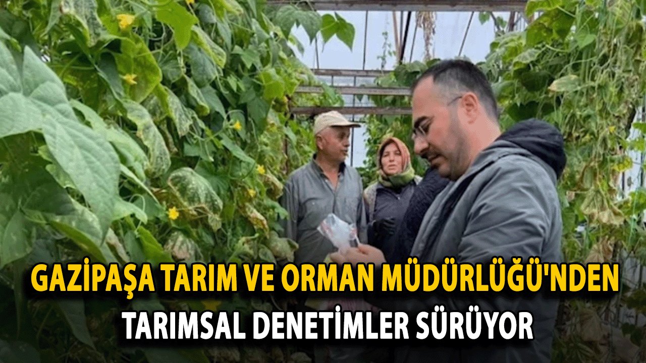 Gazipaşa Tarım ve Orman Müdürlüğü'nden Tarımsal denetimler sürüyor