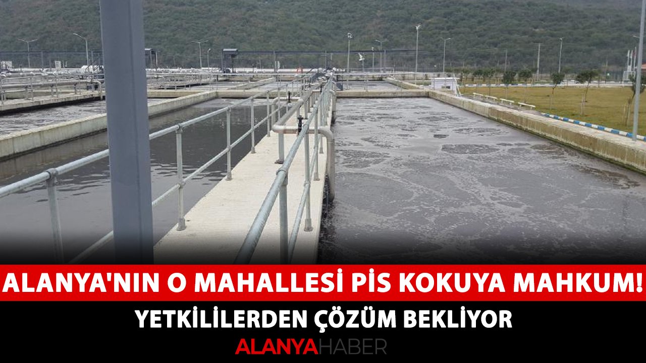 Alanya'nın o mahallesi pis kokuya mahkum! Yetkililerden çözüm bekliyor