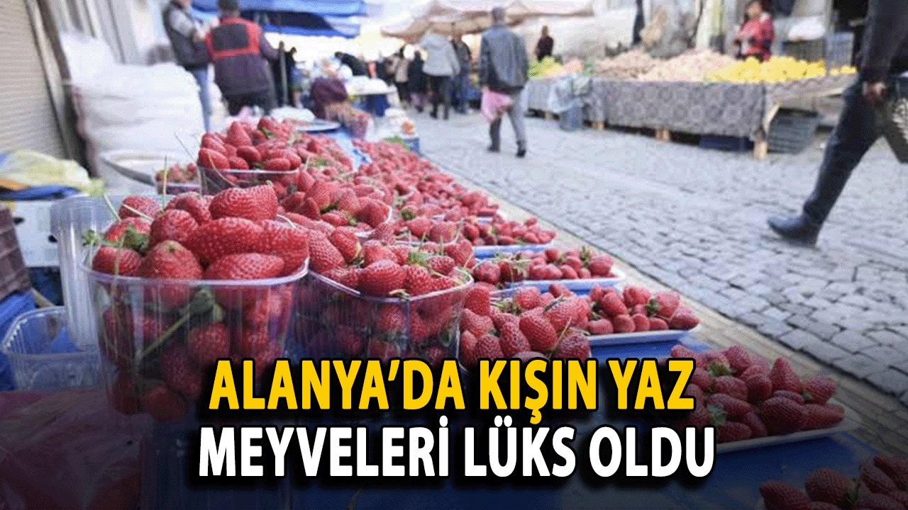 Alanya’da Kışın Yaz Meyveleri Lüks Oldu