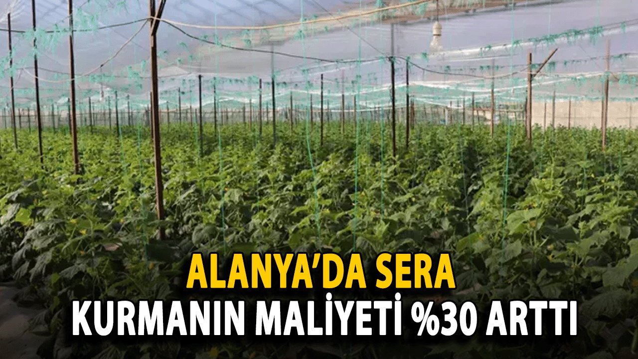 Alanya’da Sera Kurmanın Maliyeti %30 Arttı