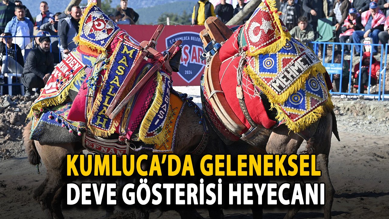 Kumluca’da Geleneksel Deve Gösterisi Heyecanı