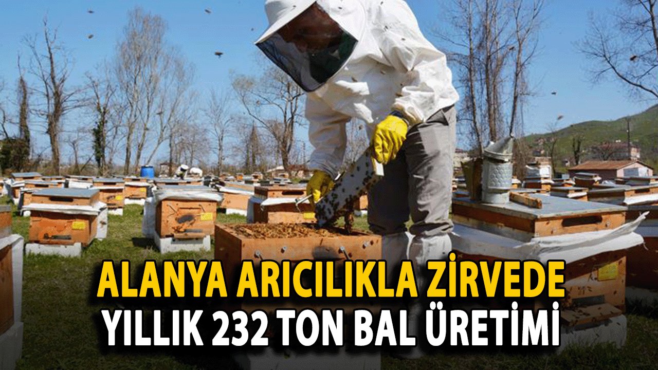 Alanya Arıcılıkla Zirvede: Yıllık 232 Ton Bal Üretimi