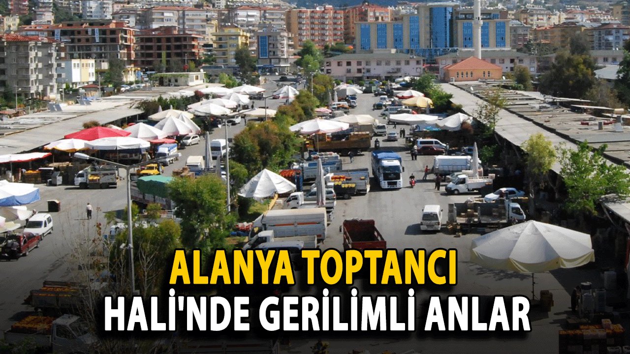 Alanya Toptancı Hali'nde Gerilimli Anlar