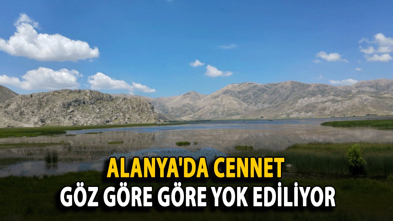 Alanya'da Cennet Göz Göre Göre Yok Ediliyor: Eğrigöl Tehlike Altında