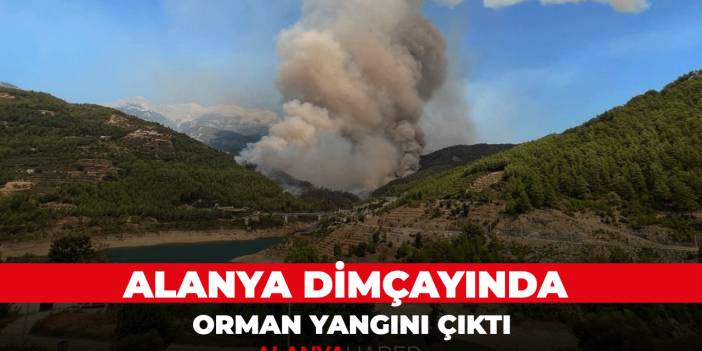 Alanya Dimçayı bölgesinde Orman yangını çıktı