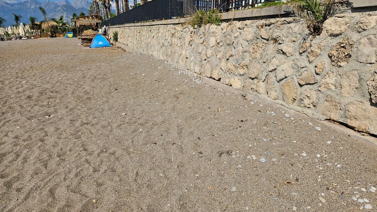 Antalya ve Alanya Sahilleri İçin Sigara Yasağı Çağrısı