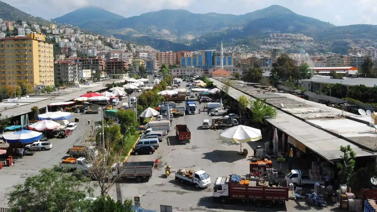 Alanya Hali’nde hareketlilik arttı, fiyatlar değişmedi