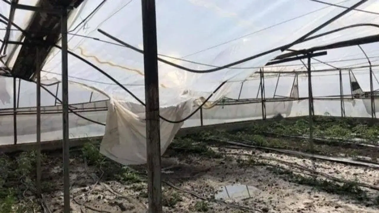 Alanya’da sağanak seraları yıktı, üreticilere destek geliyor