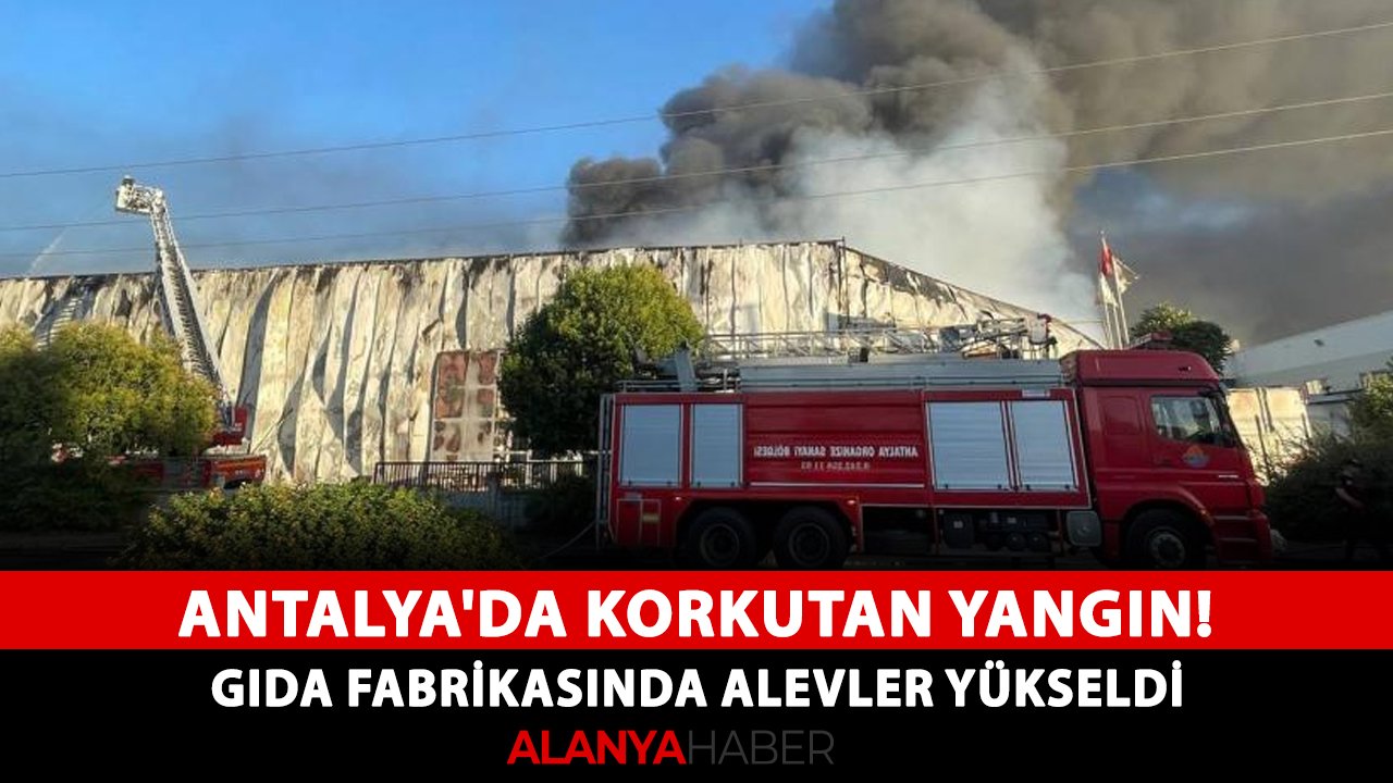 Antalya'da korkutan yangın! Gıda fabrikasında alevler yükseldi