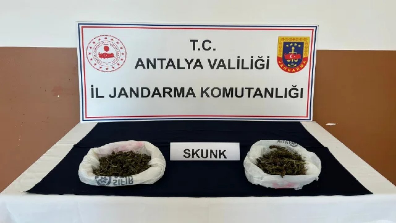Alanya'da Jandarma Ekiplerince Uyuşturucu Operasyonu yapıldı: 2 kişi gözaltına alındı