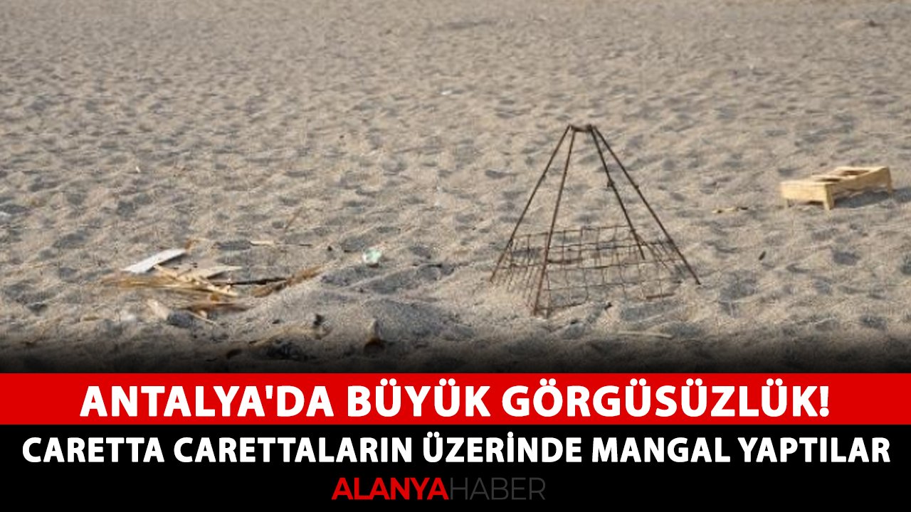 Antalya'da büyük görgüsüzlük! Caretta carettaların üzerinde mangal yaptılar