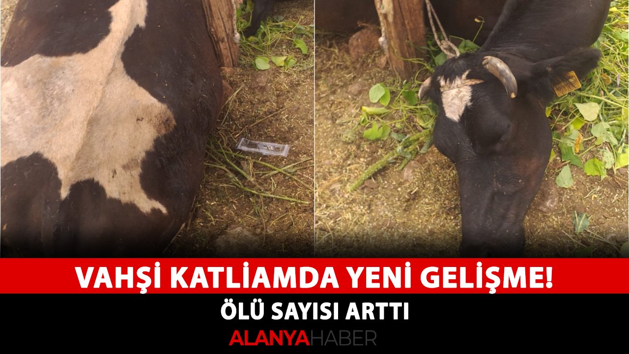 Vahşi katliamda yeni gelişme! Ölü sayısı arttı