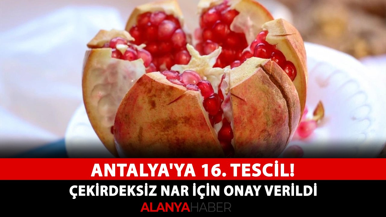 Antalya'ya 16. tescil! Çekirdeksiz Nar için onay verildi