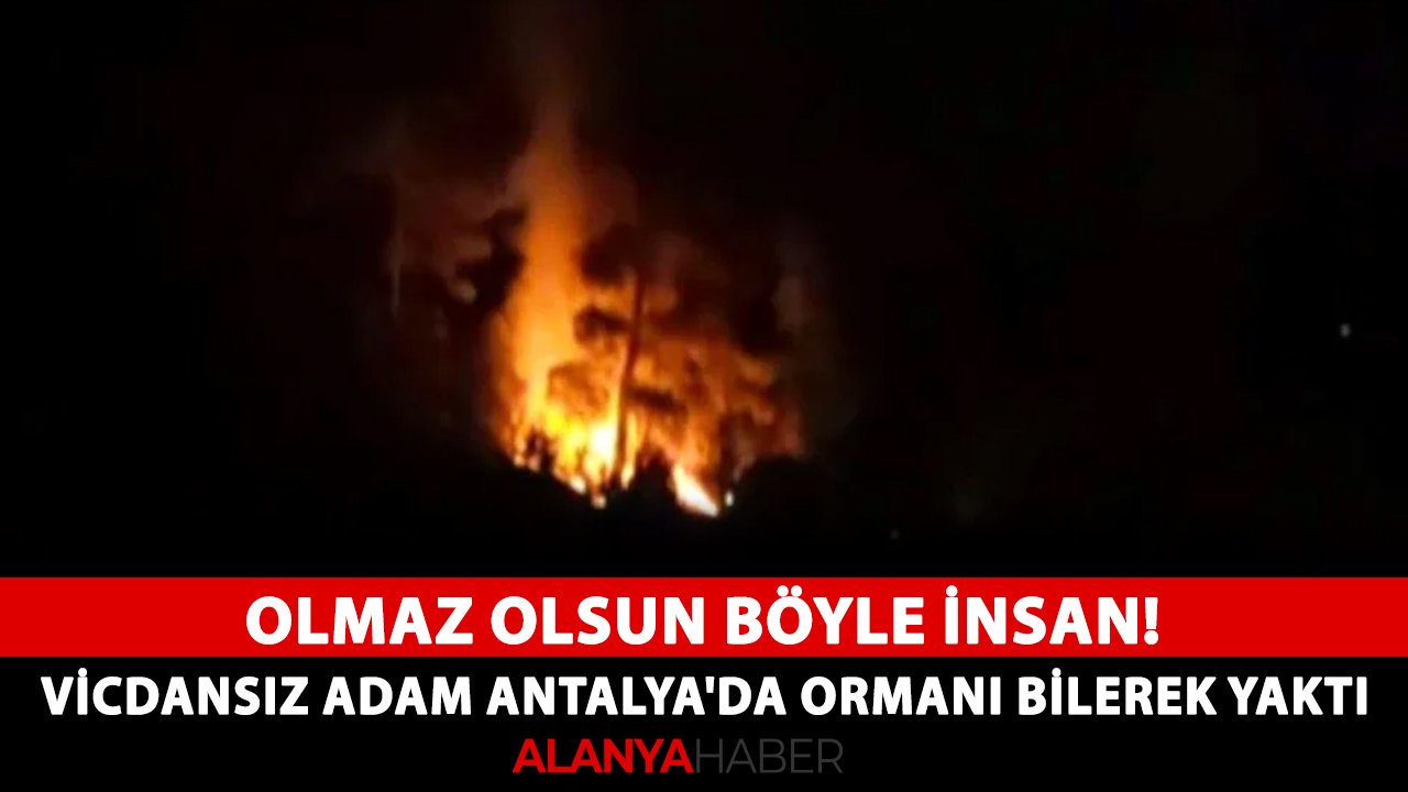 Olmaz olsun böyle insan! Vicdansız adam Antalya'da ormanı bilerek yaktı