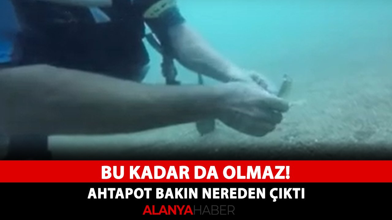 Bu kadar da olmaz! Ahtapot bakın nereden çıktı