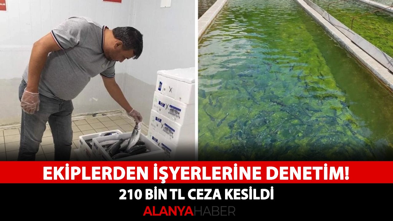 Ekiplerden işyerlerine denetim! 210 bin TL ceza kesildi