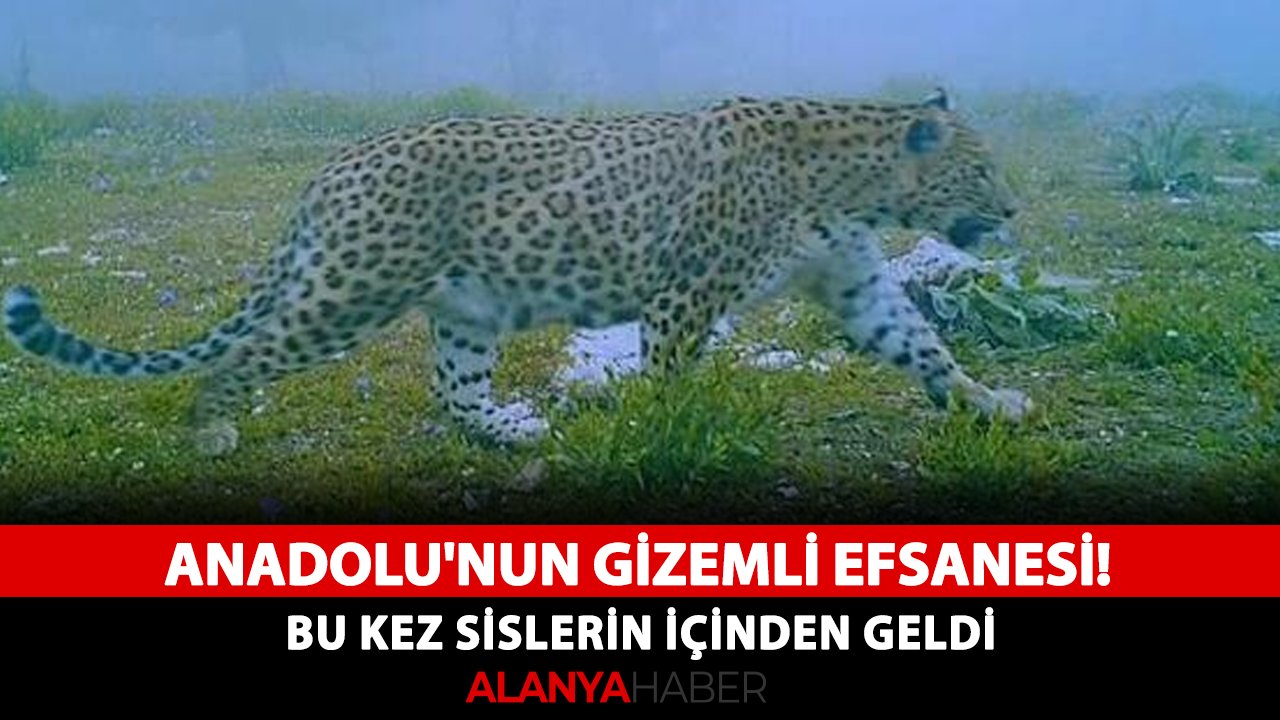 Anadolu'nun gizemli efsanesi! Bu kez sislerin içinden geldi