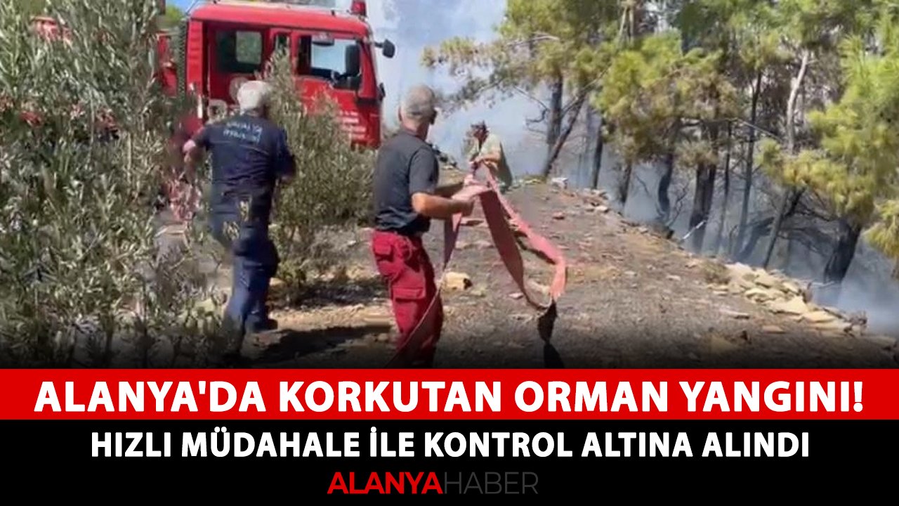 Alanya'da korkutan orman yangını! Hızlı müdahale ile kontrol altına alındı
